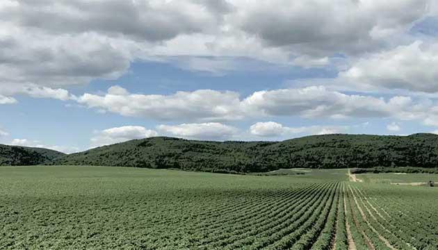 The Real Reason Fields Get “Tired” … and What to Do About It