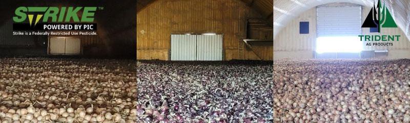 Whether Red, White, or Yellow, Strike&trade; helps Set your Onions