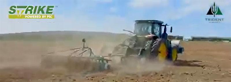 Dr. Maxwell Handiseni is Overseeing Fumigation with Strike