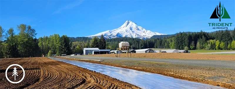 Soil Fumigation in Action