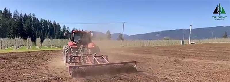 Tree Orchard | White Salmon, WA. 