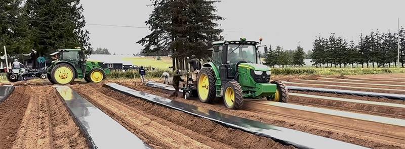 Soil Fumigation | Lynden, Washington