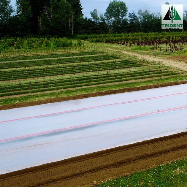 Ornamentals | Pacific Northwest
