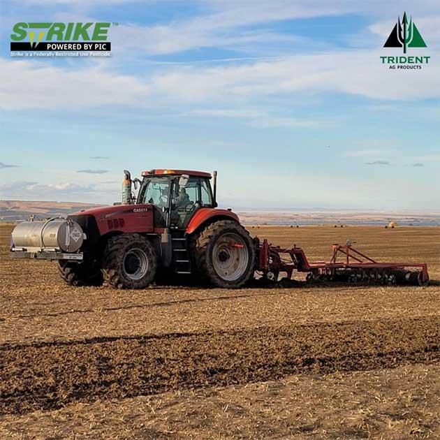 Putting Potato Trials to the Test | Trident Ag